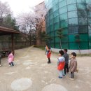 이동초등학교(병설) 이미지