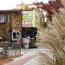 토기장이유황오리 이미지