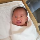 요거프레소빛가람종합