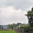 더스테이크리스마스(유수암) 이미지