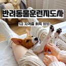 웃음코칭지도사1급&감정관리지도사1급 | 반려동물훈련지도사 1급 지금시대에 유망한 이유