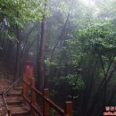 봉산화장실 이미지