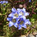 희정이네농장 이미지