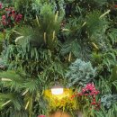 강남대로97길 42 이미지