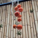 에스케이 밥심 | 속풀이 육개장이 땡길 땐 여기로!