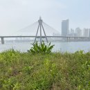 스테이 후 | 오토스테이 하남미사점 노브러쉬 세차 후기, 3번째 방문 후 남기는 꿀팁