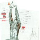 짐 다운 GYM 이미지