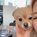 소담 살롱 이미지