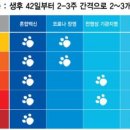 금성당약국 이미지