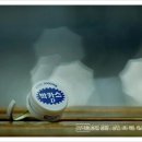 성동약국 이미지