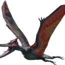 프테라노돈 이미지