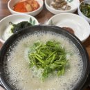 보물섬모텔 | 남도여행 3박4일 Day2 / 목포 1박2일 후 해남 땅끝마을 맛집 추천 조선쫄복탕 두쫀쿠맛집 해남맛집 땅끝...