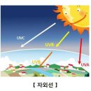 50~60대 피부도 늦지 않았다, 선블록 만큼 중요한 &#39;이것&#39; [노화 늦추기⑤] 이미지