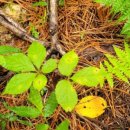 천종농장 이미지