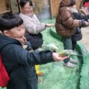 비연체육관 이미지