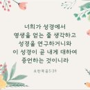 요한복음 5장39절 이미지