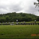 시청북로 이미지