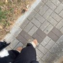 홀드앤락클라이밍