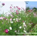 호당미술관 이미지