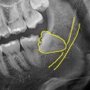 호평나무치과의원 이미지