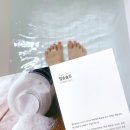 허 센트 (HER SCENT)