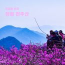 창원 천주산-천주봉 진달래산행(달천계곡코스) 이미지