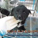 대곶남로 이미지