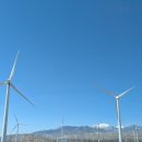 조슈아농장 이미지