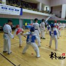 조천태권도체육관 이미지