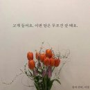 생활커피천안 이미지