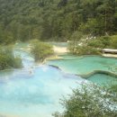 신 황룡 이미지