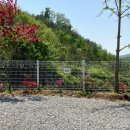 달꿈 오토캠핑장 이미지