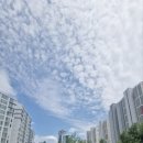 구포멸치국수 - 화성시 행정서로3길 26-20 | 구포멸치국수