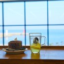 물치해수욕장 화장실 | 8미터 데미타세 벽면과 이타미 준 영감의 루프탑 포토존, P.E.I coffee 솔직 담백한 양양대형카페 후기
