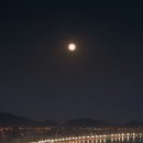 밤도시