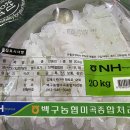 백구농협미곡종합처리장 이미지