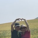 만춘농장 Daum카페
