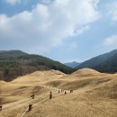 문호장 영상 | [창녕가볼만한곳] 규모에 압도되는 유네스코 세계유산 송현동고분군, 교동고분군과 창녕박물관