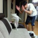 렌즈스토리 슈가캔디 롤리팝 그린 후기입니당
