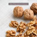 브리스윤서 이미지