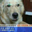 몽글몽글 이미지