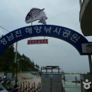 정남진 해양낚시공원 | 정남진 해양낚시공원 - 장흥 감성돔 낚시 명소! 다도해 풍경과 함께 즐기는 바다낚시!
