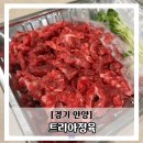트리아정육