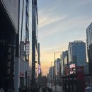 기분 전환을 위해 연남게스트하우스에서 반려견과 1박2일 연트럴스테이