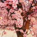 [49일] 정말 나를 위해 진심으로 울어 줄 사람이 있을까요? (스포 있어요!) 이미지