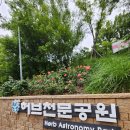 강동쉼터 | 6월 수레국화 라벤더 가득한 강동구 일자산 허브천문공원 방문 후기