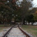 GR(화천군)-[상승로]-하-16 | 화천산천어축제 기념 : 화천가볼만한곳 화천맛집 추천해요!