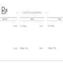 레오나르독 이미지