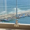 오션스테이 이미지