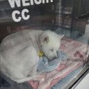 정 메디컬 동물병원 이미지